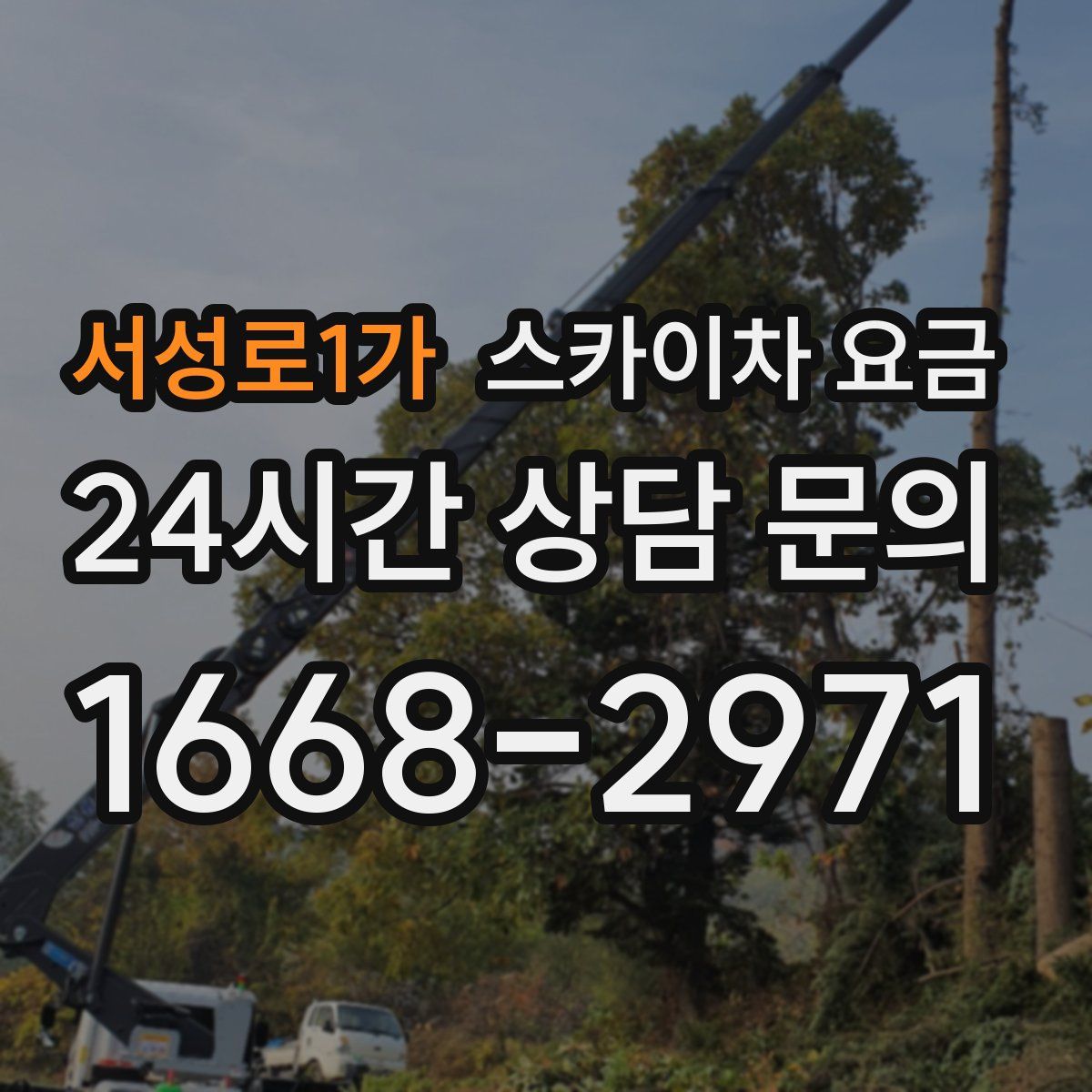 서성로1가 스카이차 요금
