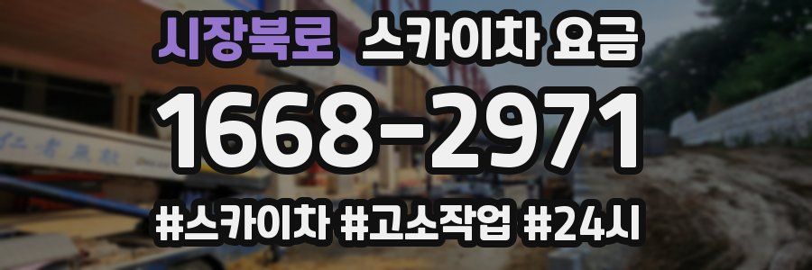 시장북로 스카이차 요금