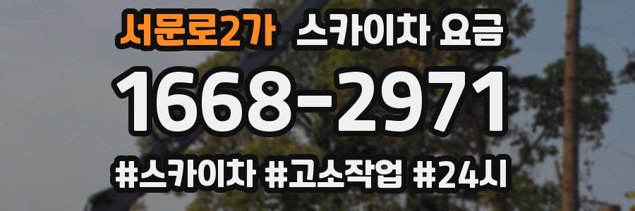 서문로2가 스카이차 요금