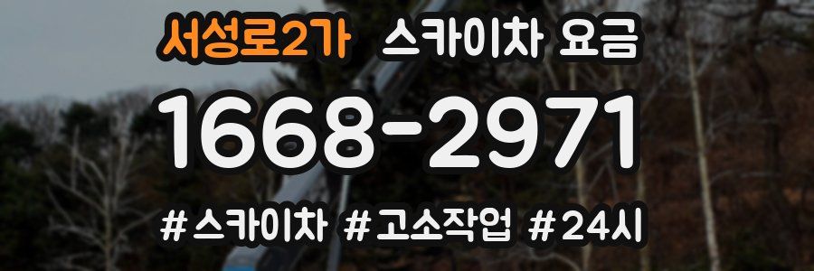 서성로2가 스카이차 요금