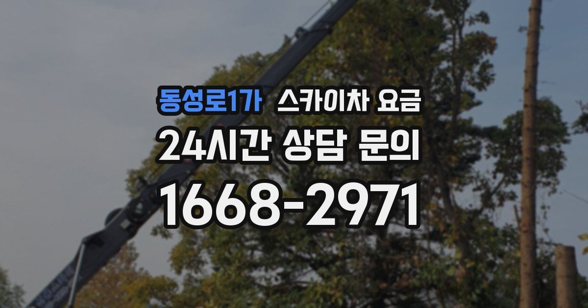 동성로1가 스카이차 요금