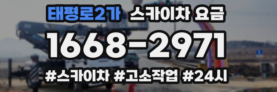 태평로2가 스카이차 요금