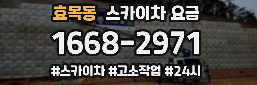 효목동 스카이차 요금