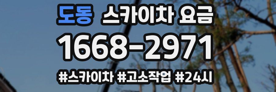 도동 스카이차 요금