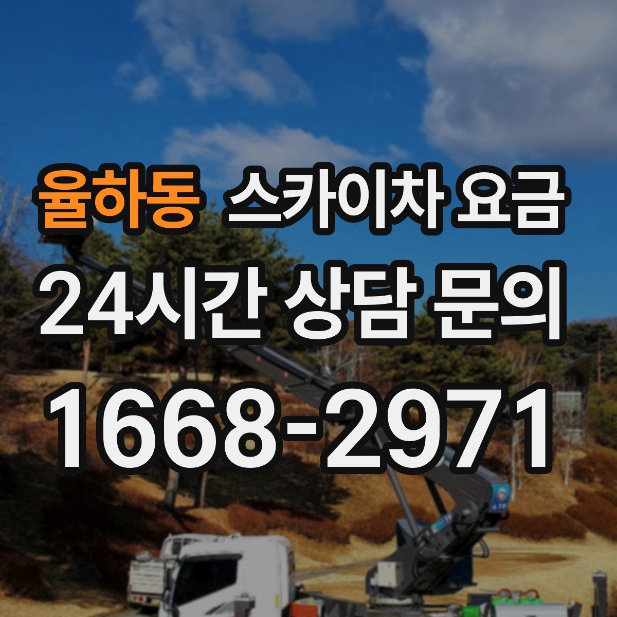 율하동 스카이차 요금