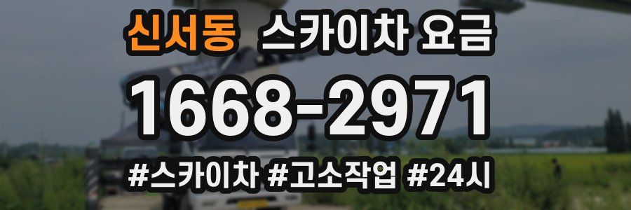 신서동 스카이차 요금