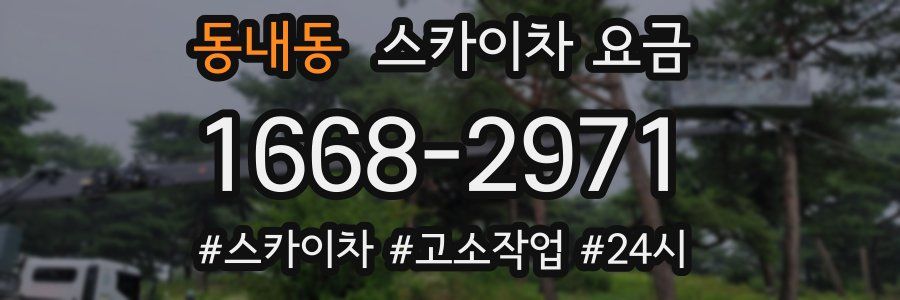 동내동 스카이차 요금