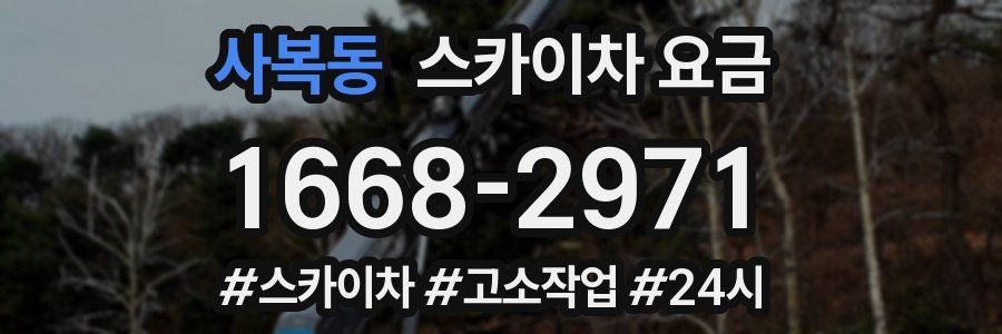사복동 스카이차 요금