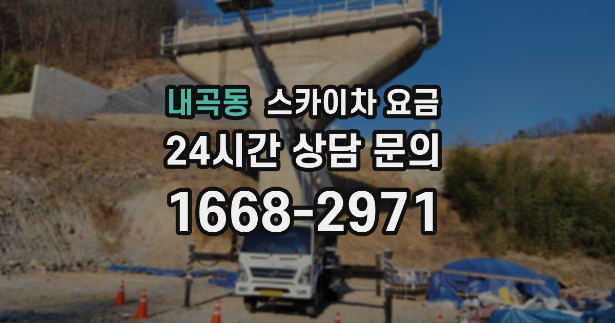 내곡동 스카이차 요금