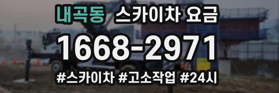 내곡동 스카이차 요금
