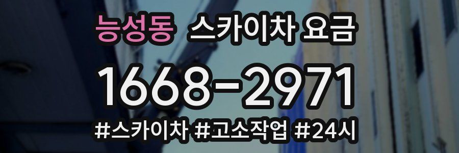 능성동 스카이차 요금