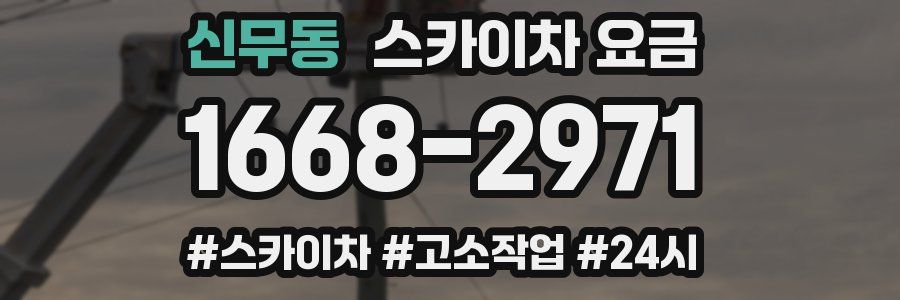 신무동 스카이차 요금