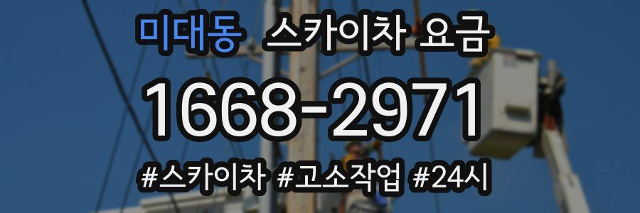 미대동 스카이차 요금