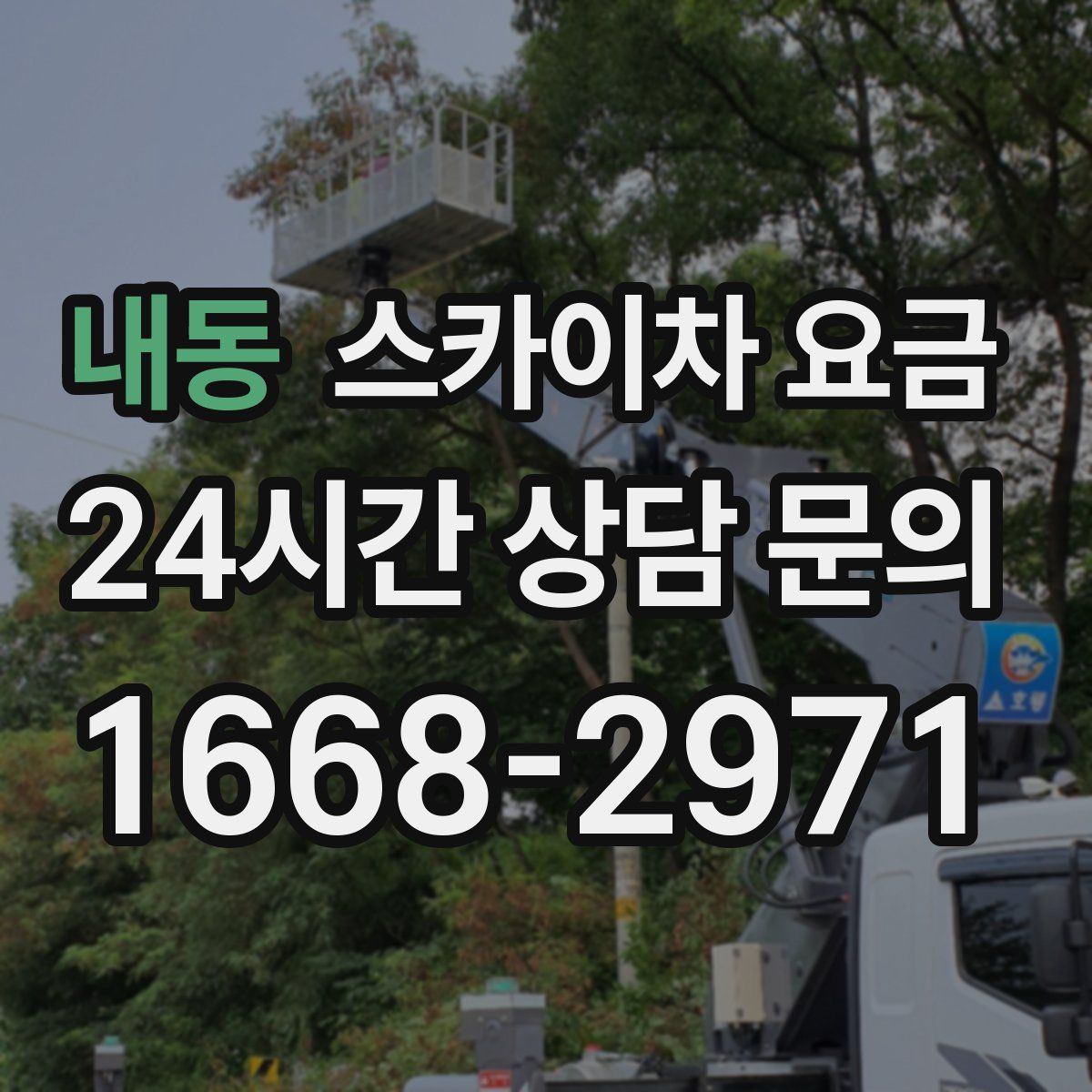 내동 스카이차 요금