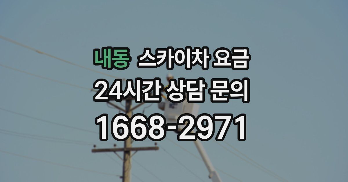 내동 스카이차 요금