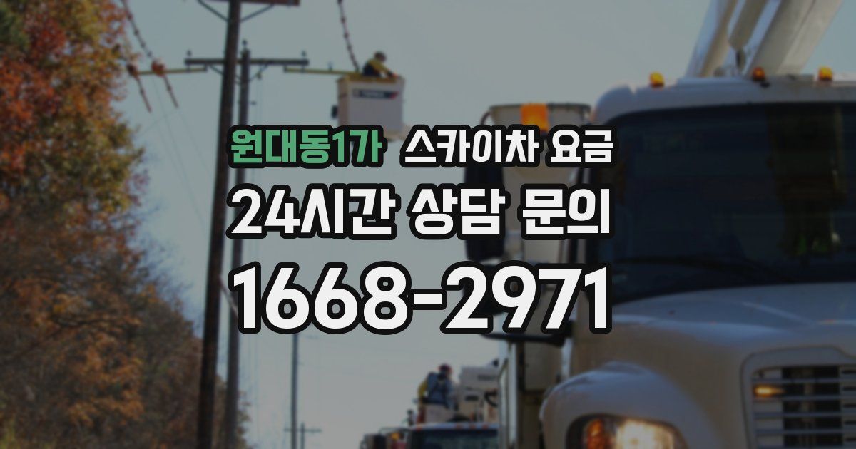 원대동1가 스카이차 요금