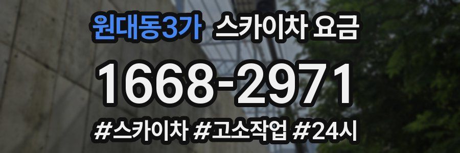 원대동3가 스카이차 요금