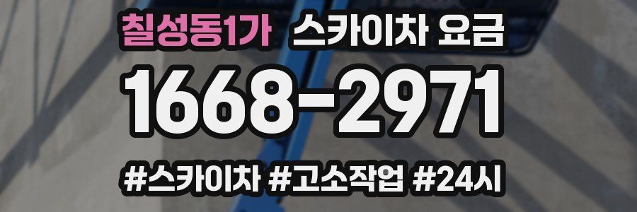 칠성동1가 스카이차 요금