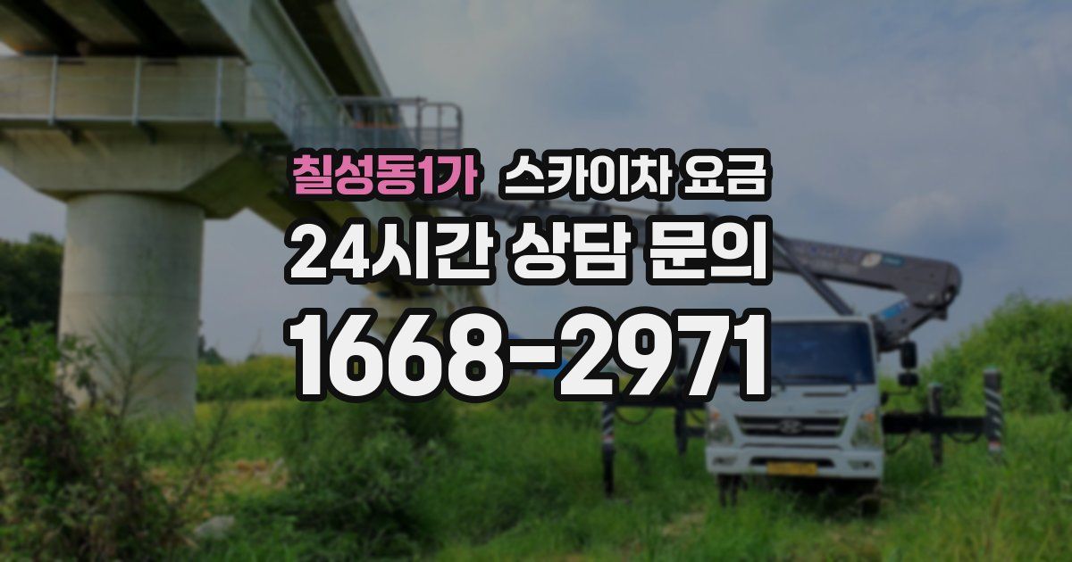 칠성동1가 스카이차 요금