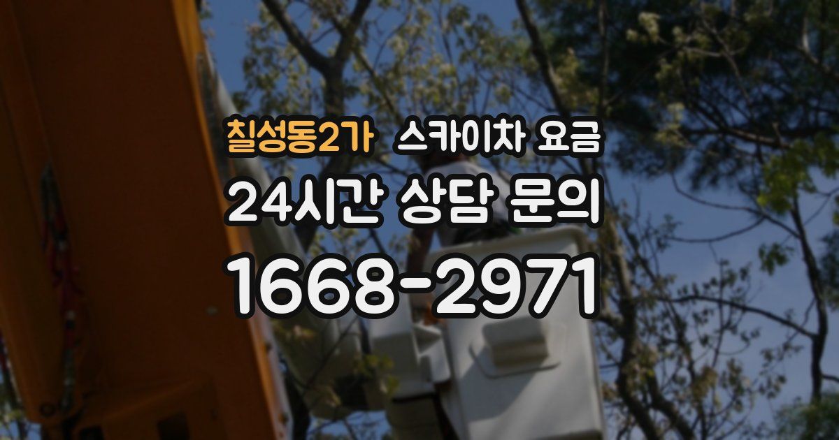 칠성동2가 스카이차 요금