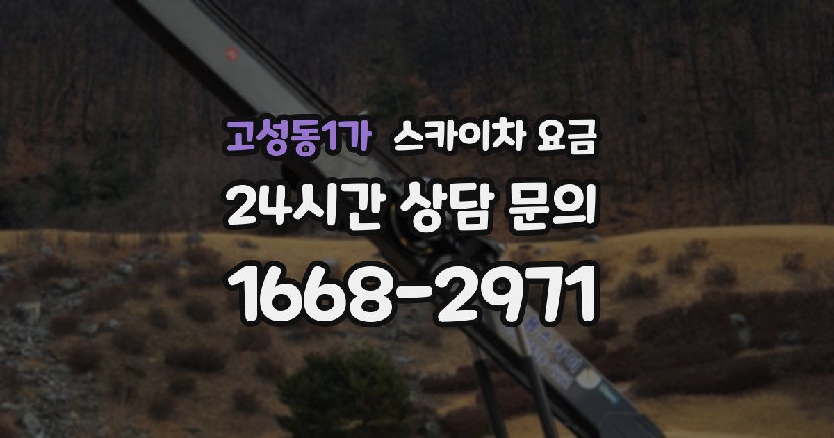 고성동1가 스카이차 요금