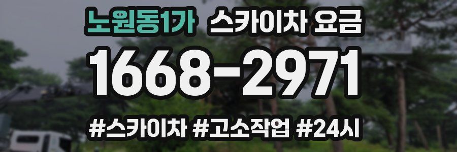 노원동1가 스카이차 요금