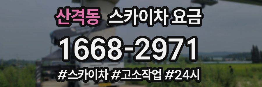 산격동 스카이차 요금