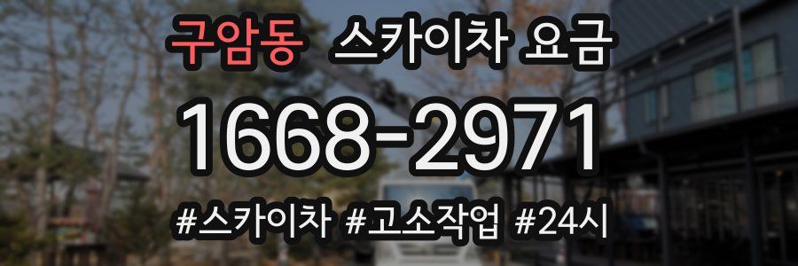 구암동 스카이차 요금
