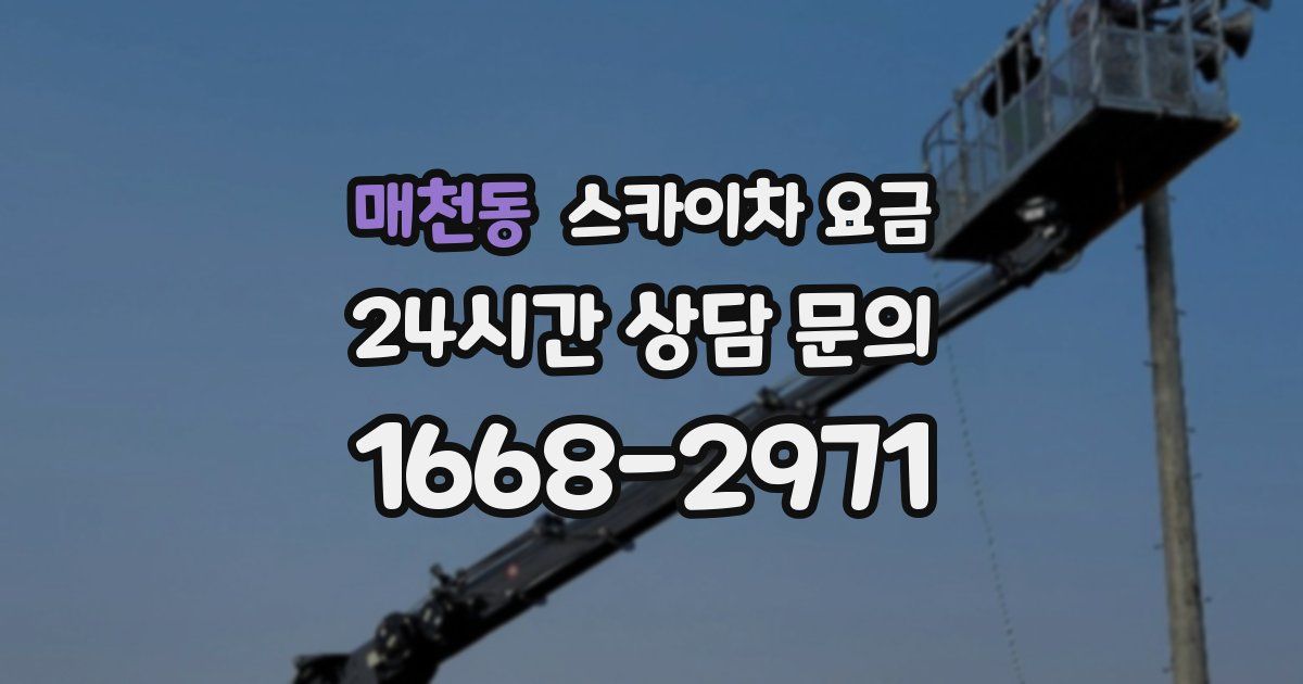 매천동 스카이차 요금