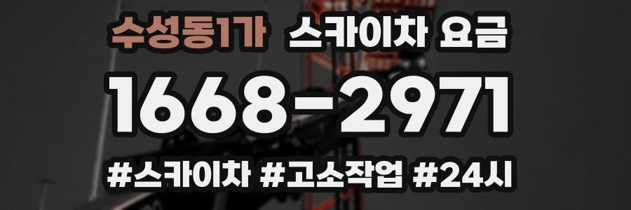 수성동1가 스카이차 요금