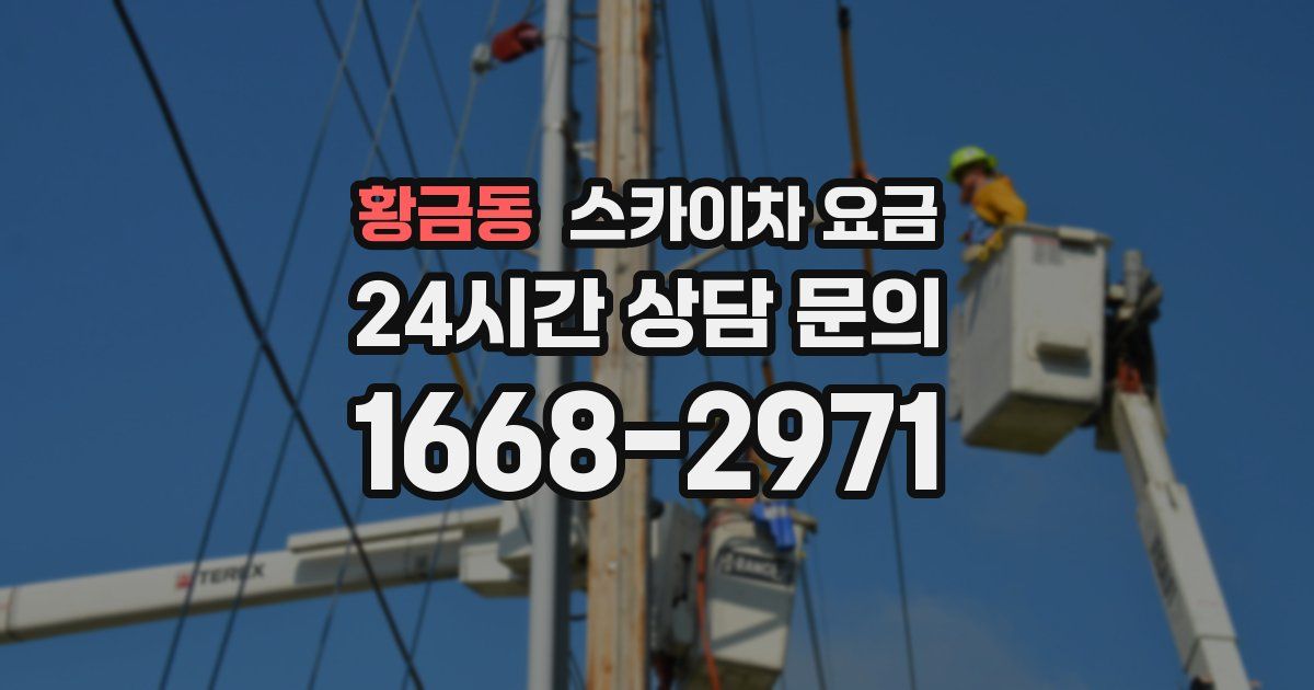 황금동 스카이차 요금