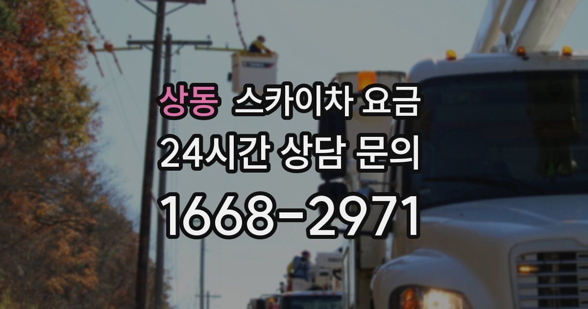 상동 스카이차 요금