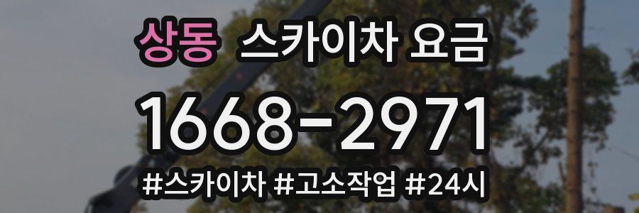 상동 스카이차 요금
