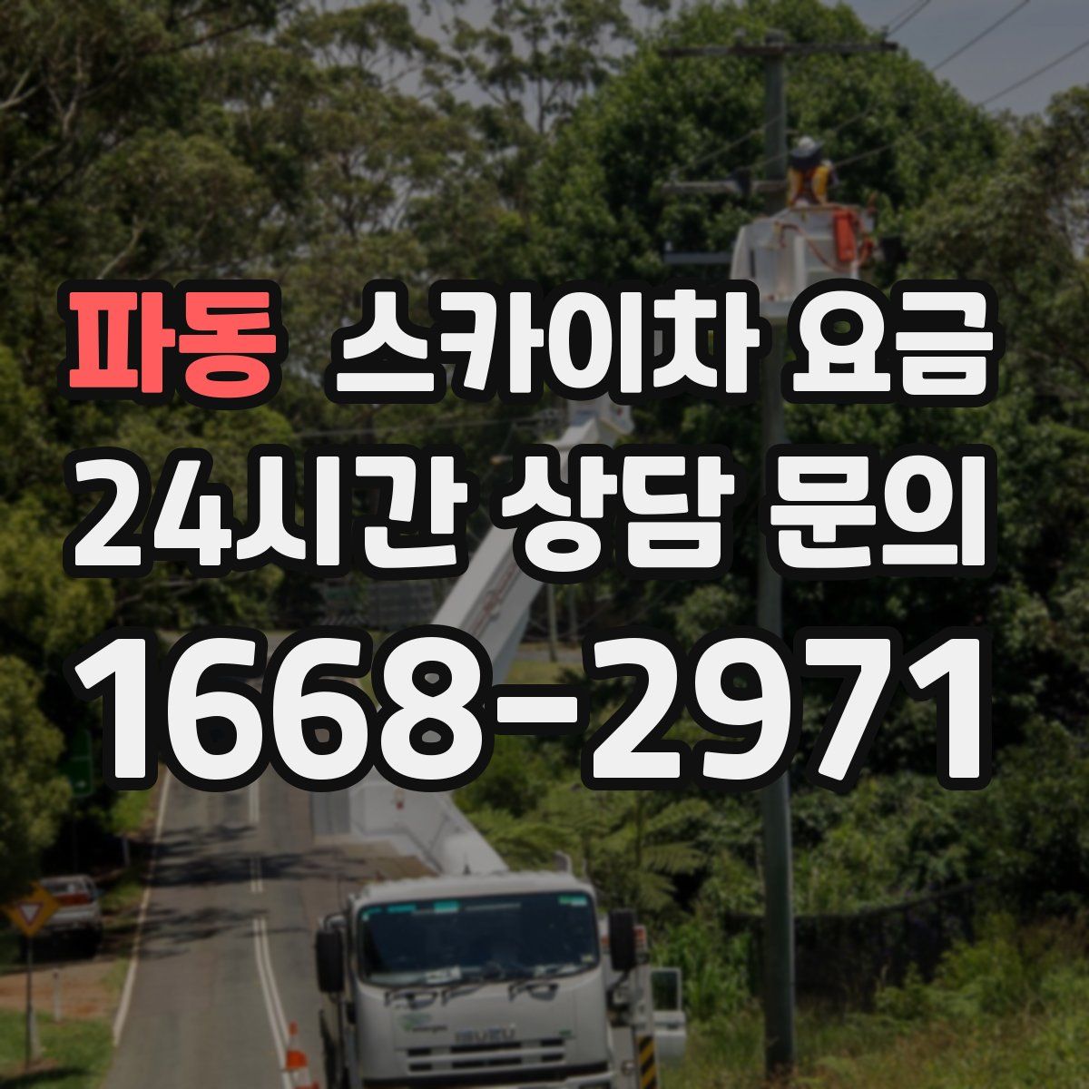 파동 스카이차 요금
