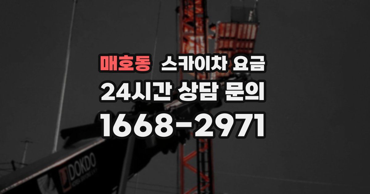 매호동 스카이차 요금