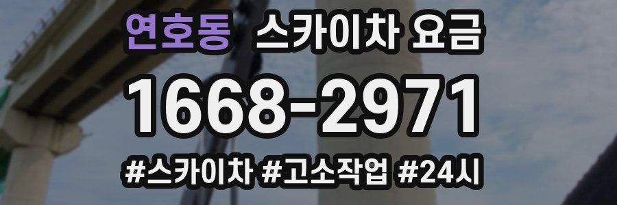 연호동 스카이차 요금