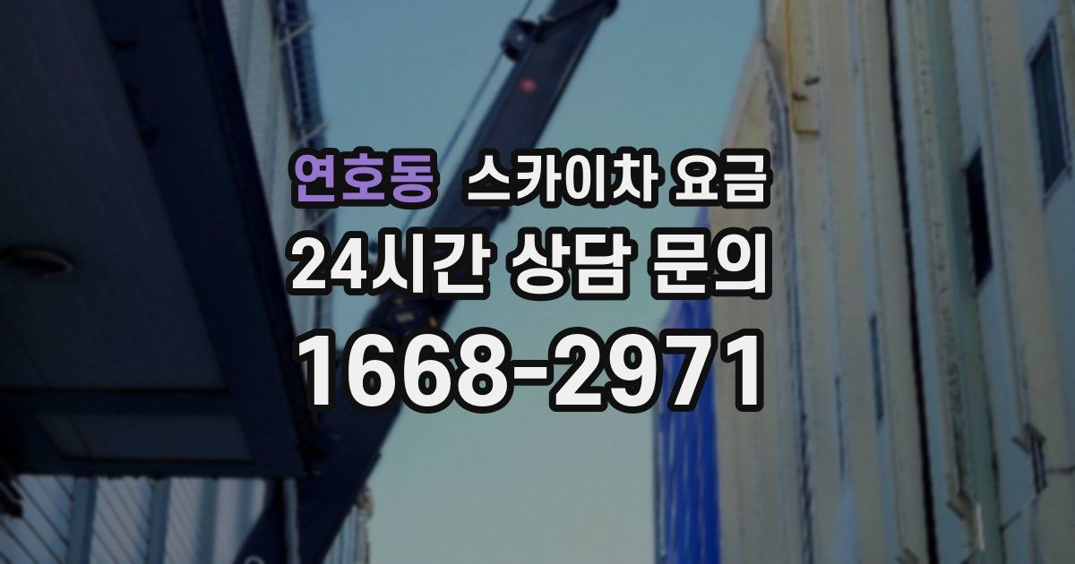 연호동 스카이차 요금