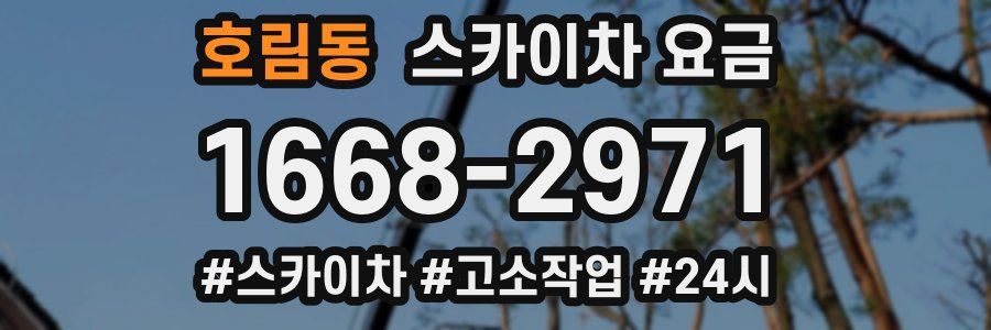 호림동 스카이차 요금