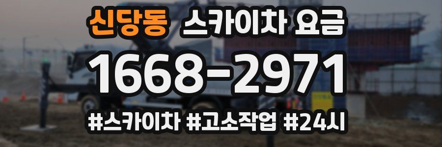 신당동 스카이차 요금