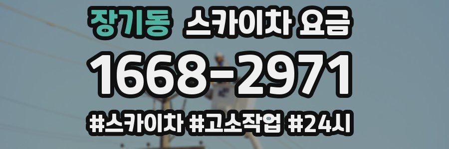 장기동 스카이차 요금