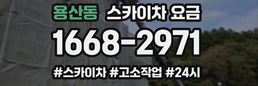 용산동 스카이차 요금