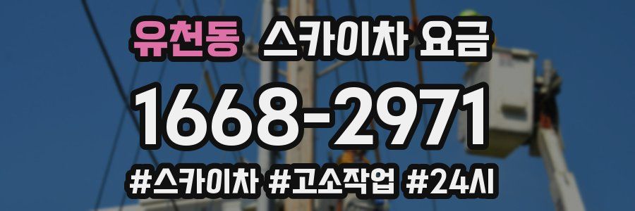 유천동 스카이차 요금