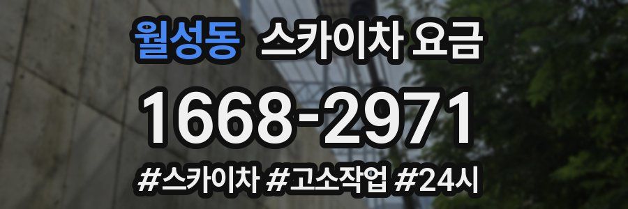 월성동 스카이차 요금