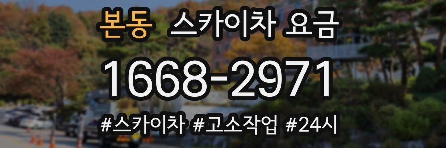 본동 스카이차 요금