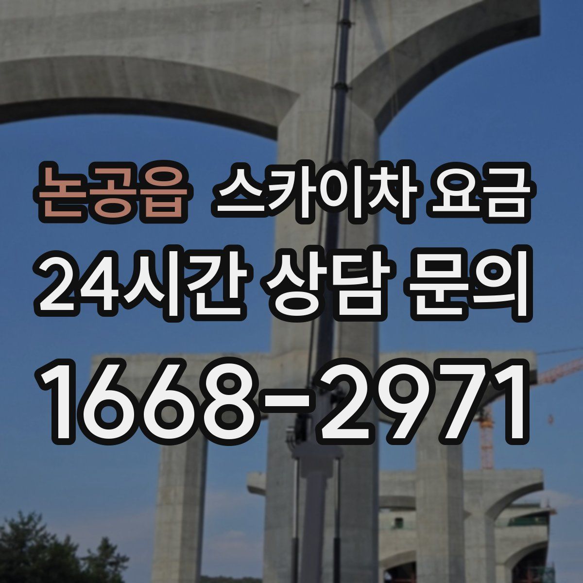 논공읍 스카이차 요금