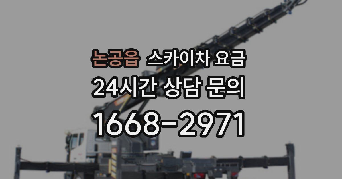 논공읍 스카이차 요금