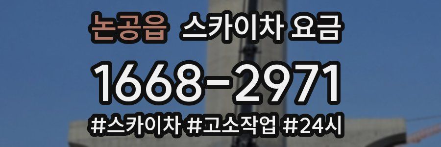 논공읍 스카이차 요금