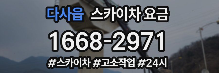 다사읍 스카이차 요금