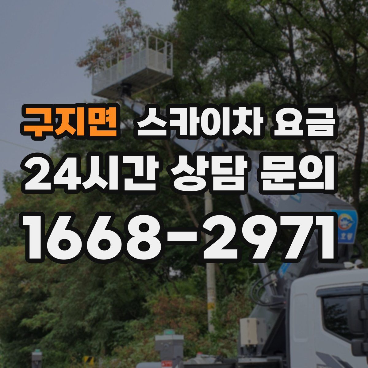 구지면 스카이차 요금