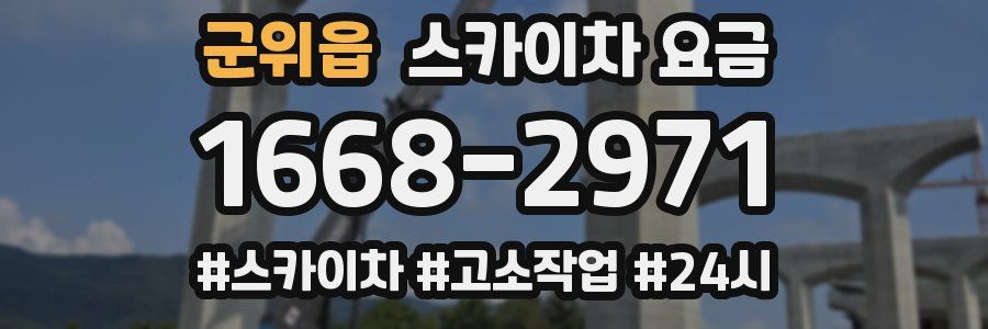 군위읍 스카이차 요금
